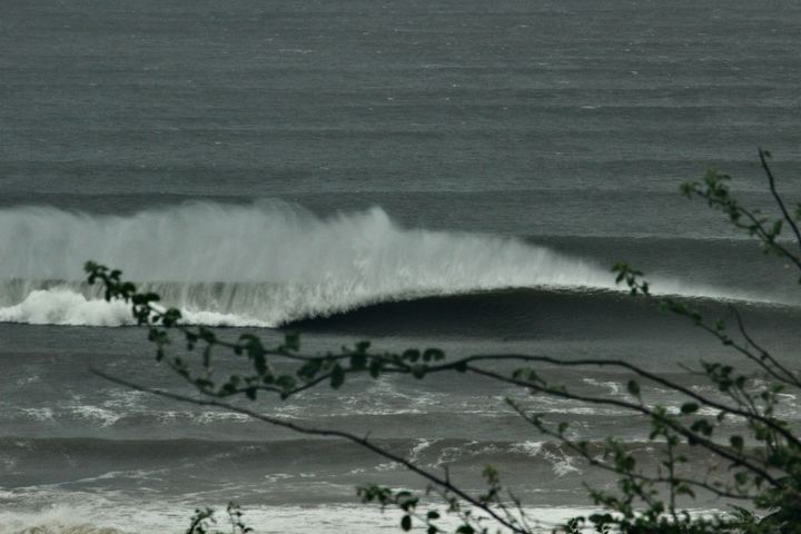 Cyclone Swell